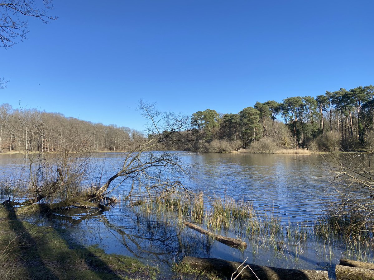 maelialc's tweet image. Promenade au soleil entre deux sessions de travail pour préparer l’oral #perdir2022