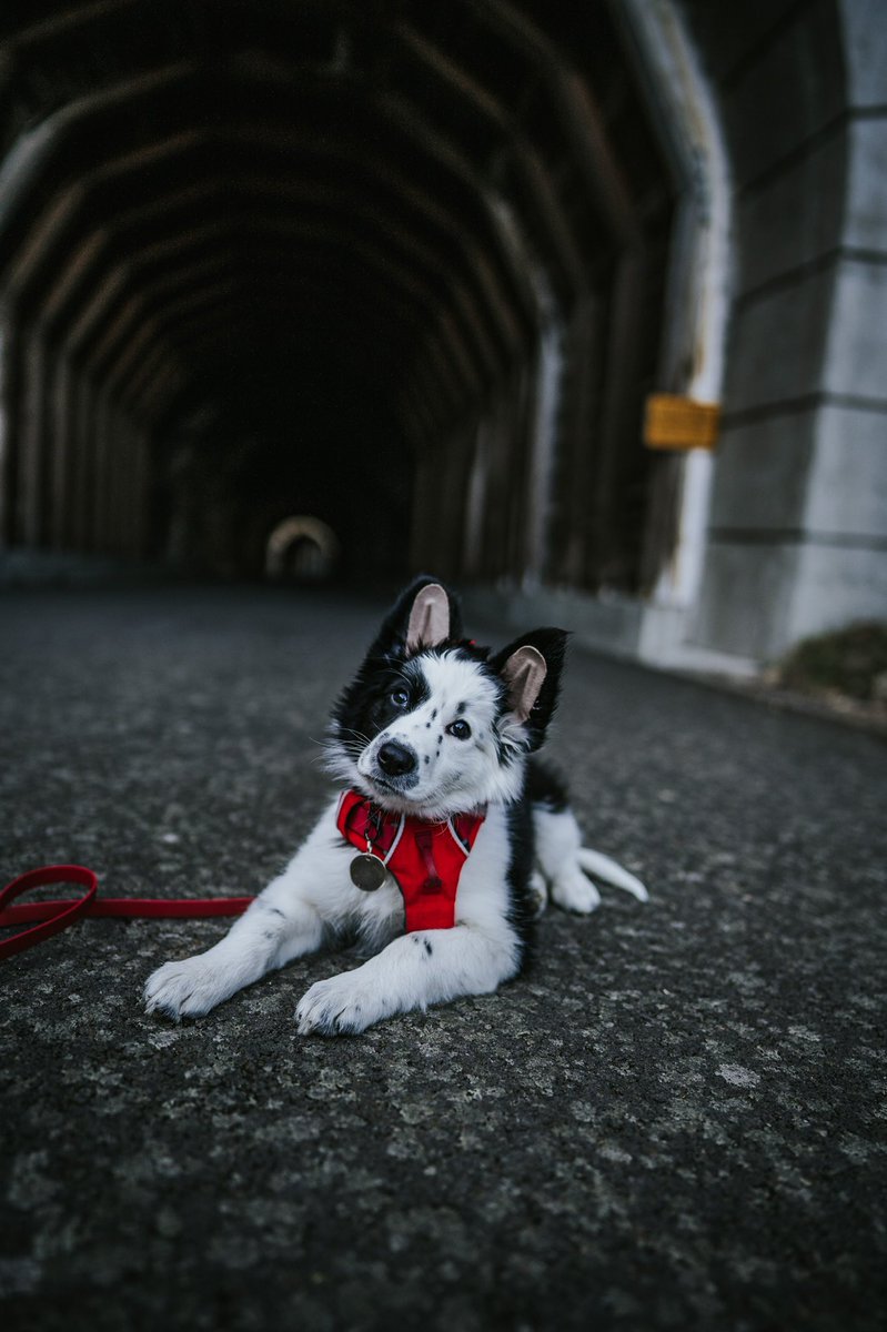 wildwiththem tweet media