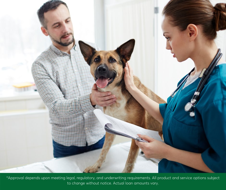 ChecknGo's tweet image. Unexpected vet bills got you down? We have options to help you pay them off, so you can get back to playing with your best friend. Visit us in-store or online to see what options are available to you.*
checkngo.com

#checkngo #vetbills #finance #wellhandleittogether