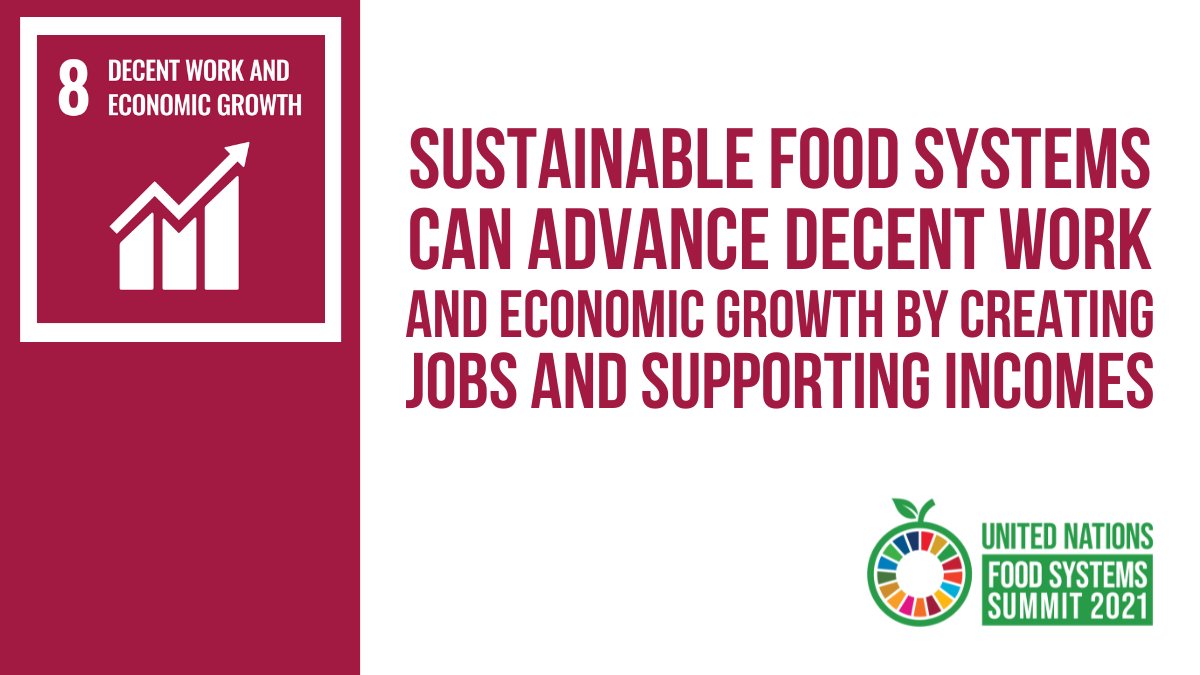 #Agriculture provides livelihoods for 40% of the world's population, and government investment in the sector is key.
 
Tackling worker exploitation & ensuring decent work are pivotal to transform the world's #FoodSystems AND make progress on #SDG8 of the #GlobalGoals. 👨‍🌾

