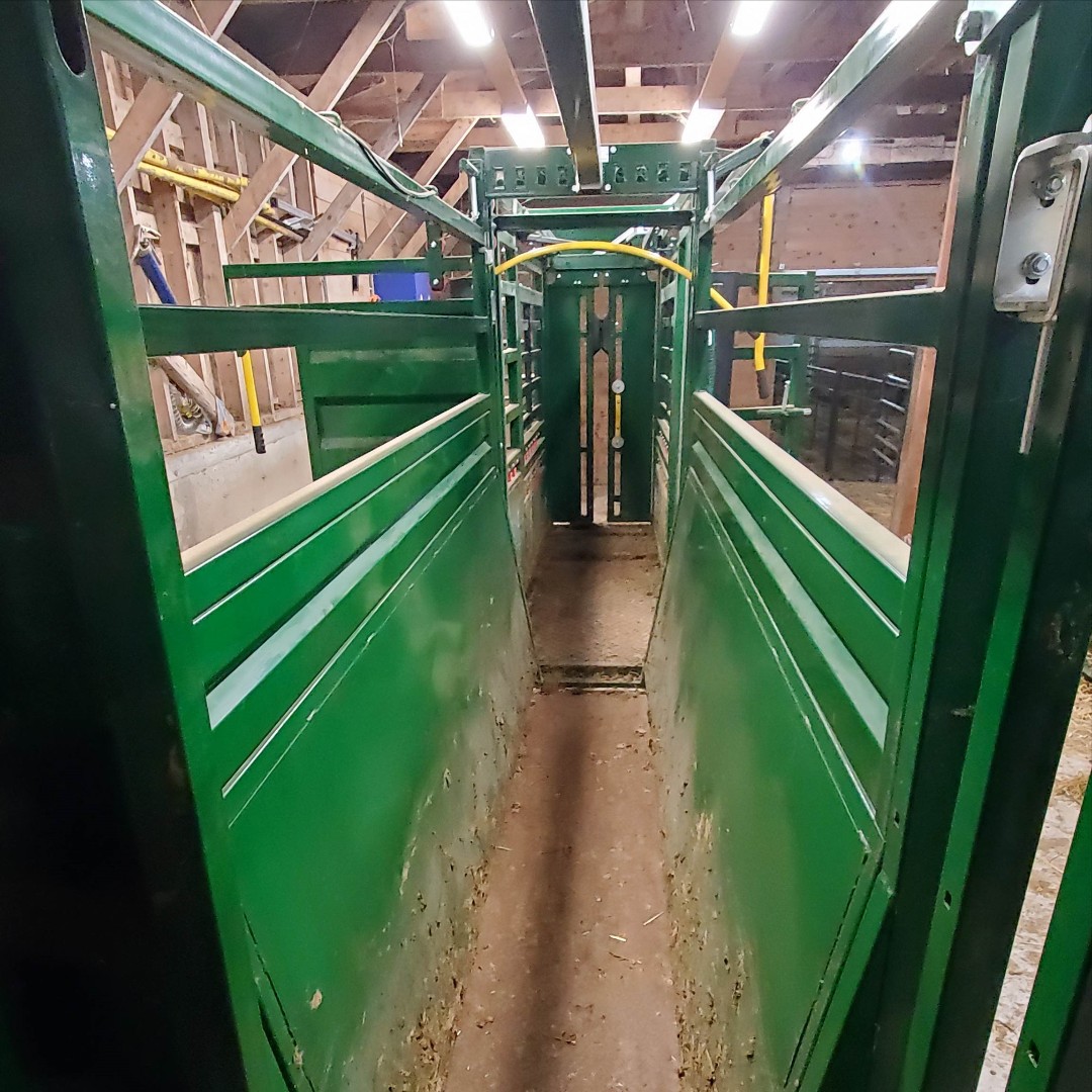 Arrowquip's tweet photo. Even if you have a portable cattle handling system, you can always make it a permanent solution. Find the portable system made for your ranch: https://t.co/GCiRUXrDGE | Jody Crowell
#portablecattlehandling #cattleranching #arrowquip #cattlehandling #qcatch #headholder #86Series https://t.co/OuAKemAUyk