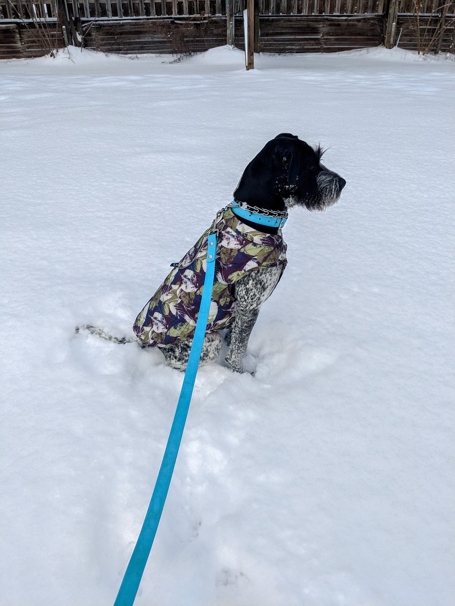 Magnolia + Hannah tweet media