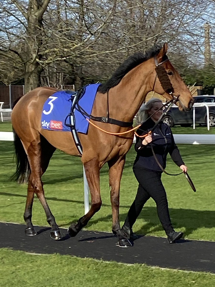 David Mitchell tweet media