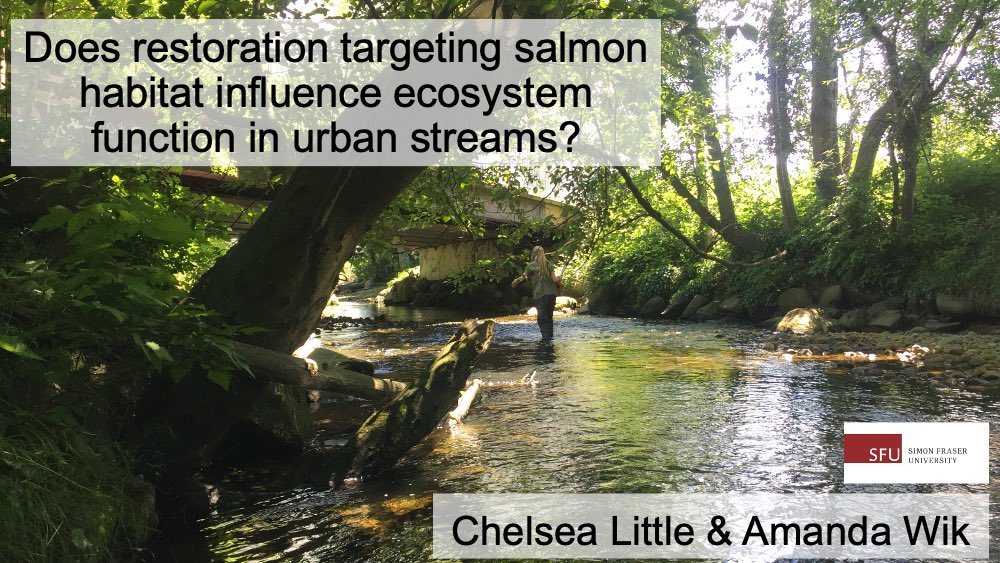 Are you at #CCFFRSCL2022? Come hear about the first research project done from start to finish in the new Little Ecology Group- today at 13:45!