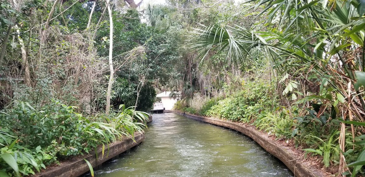 dbloccupancy's tweet image. Some pictures of our boat ride through Winter Park.