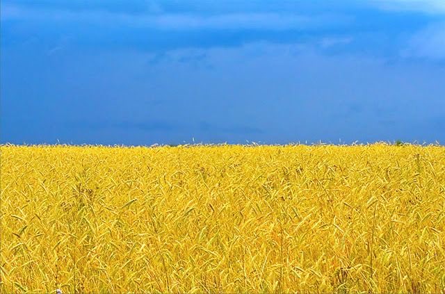 Vala Afshar tweet media