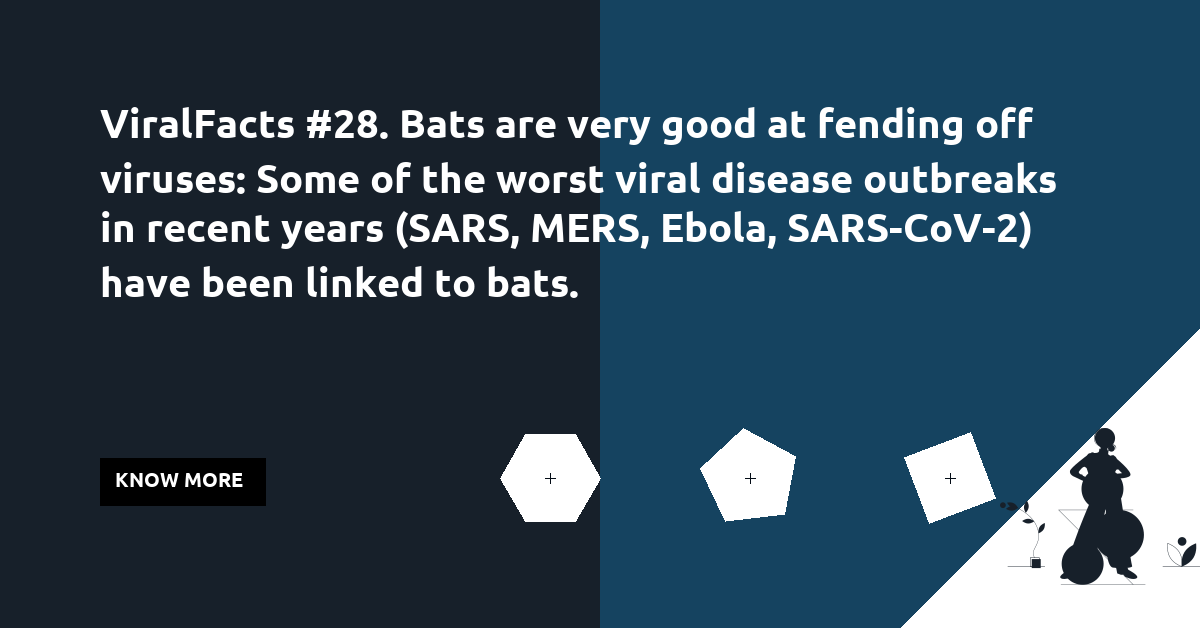 thebiologist14's tweet photo. ViralFacts #28. Bats are very good at fending off viruses: Some of the worst viral disease outbreaks in recent years (SARS, MERS, Ebola, SARS-CoV-2) have been linked to bats. #VaccinesWork #gooutsafe #physicaldistancingnow #COVID19 #stayhomestaysafe #handwashing https://t.co/6iNRGjp7ln
