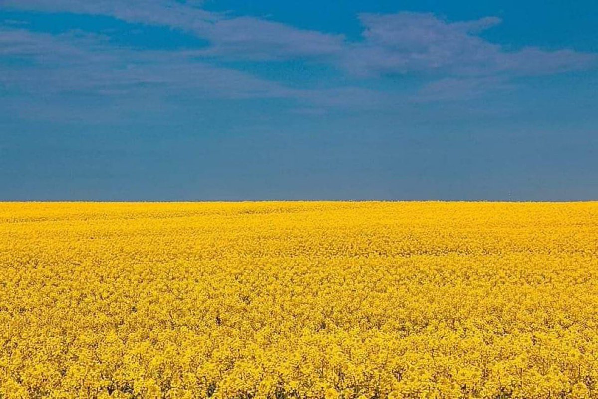 trevorbmbagency's tweet image. So now you know. 🇺🇦 #GloryToUkraine