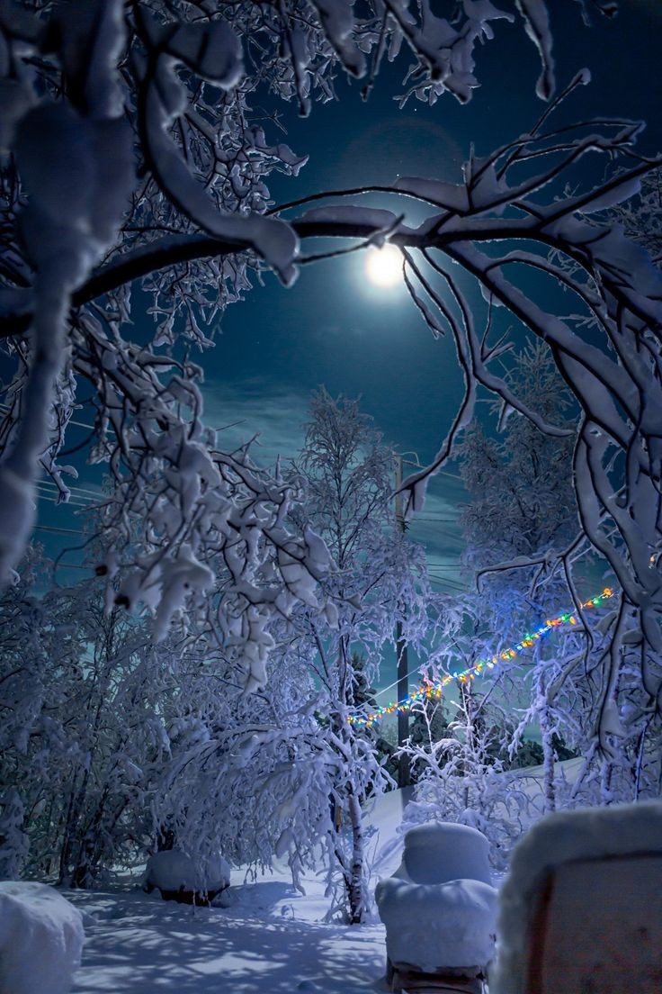 Bonne fin de journée 💙🕊