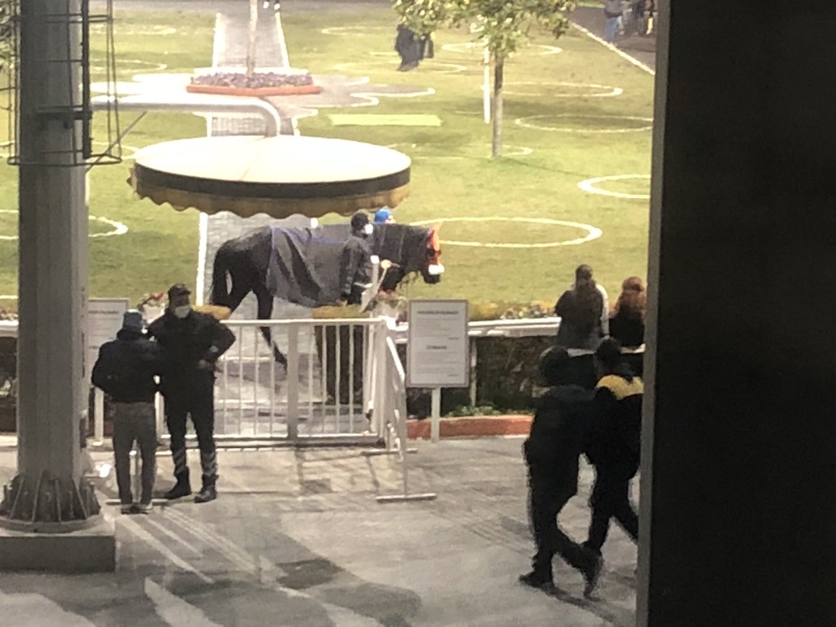 Oğlum ARMASH (ex Capucino) yaptığı harika sprintle İstanbul’daki Maiden koşuyu kazandı... Tüm ekibine tebrikler... Daha büyüklerine inşallah...