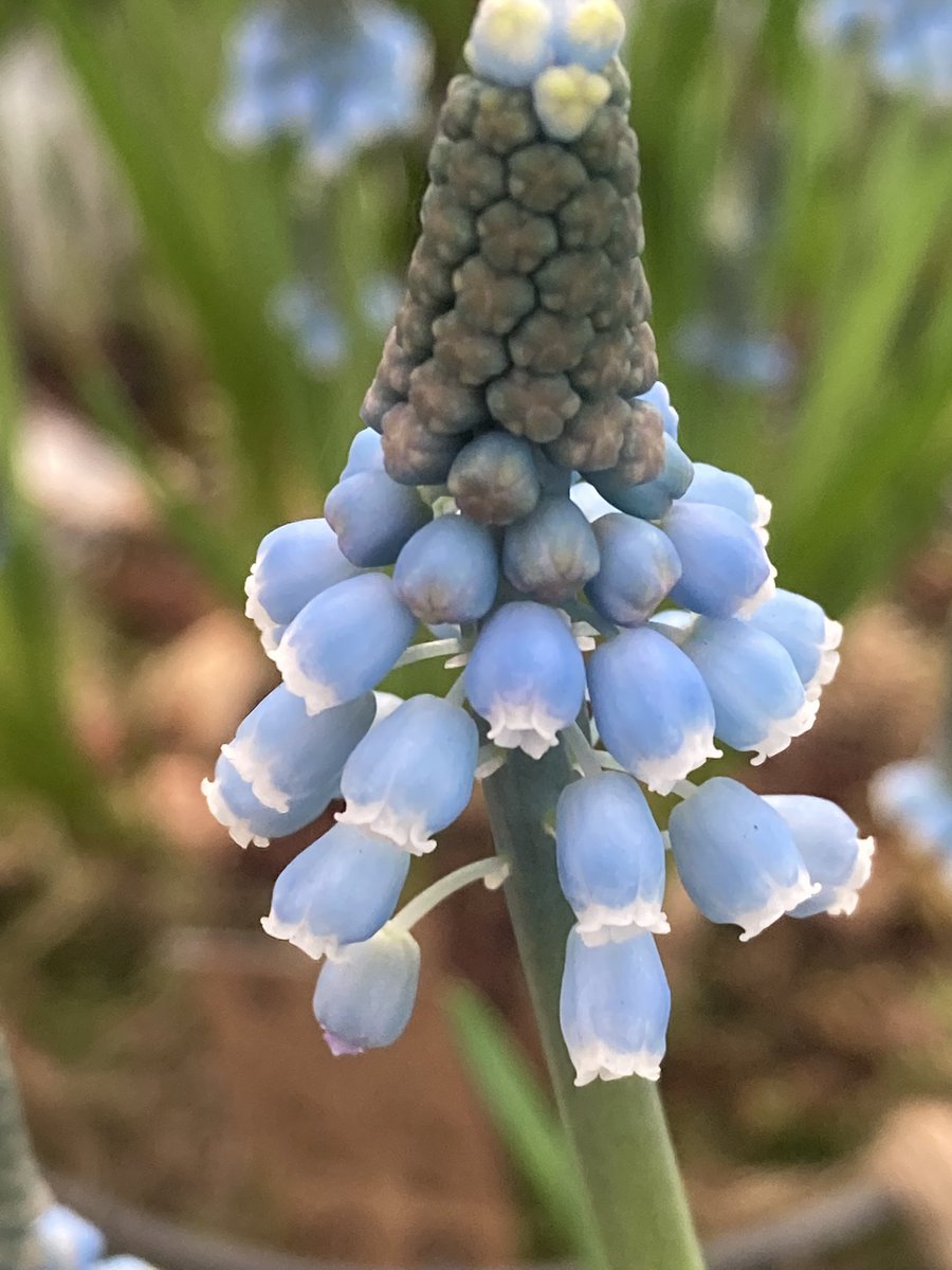 Geel en blauw in respect en medeleven. #Ukrania