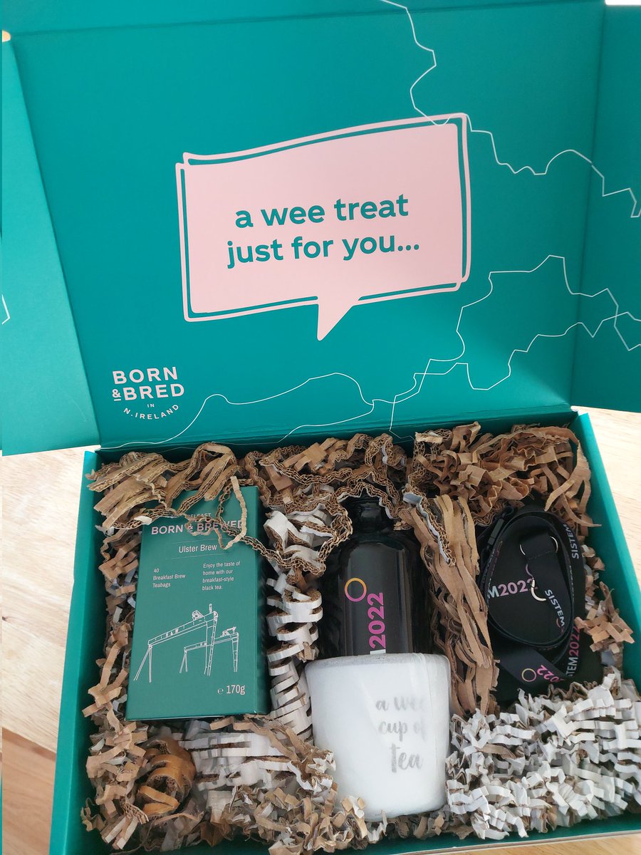 GeorgianaZugra1's tweet image. #SISTEM2022