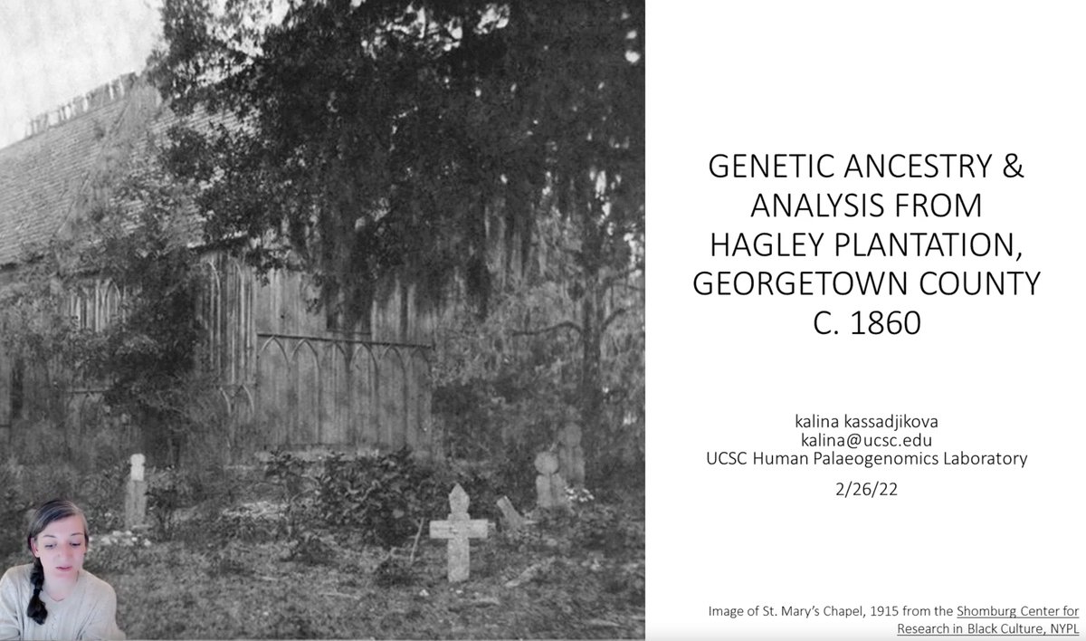 Objects of Our Ancestry: History, Archaeology, &amp; Cultural Heritage Talks &amp; Workshops | And-Split Down to Timbers: How the Discovery of Shipwrecks from Black History Impacts Local Life, Memory, and Archaeology
Khamal Patterson, Cultural property attorney &amp; researcher | #iggad 2022