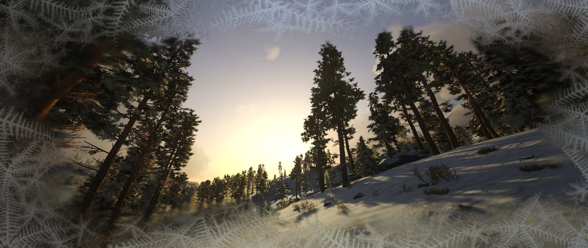 Neowinger989's tweet photo. #scumgame #SCUM https://t.co/LQKGDUzYqf