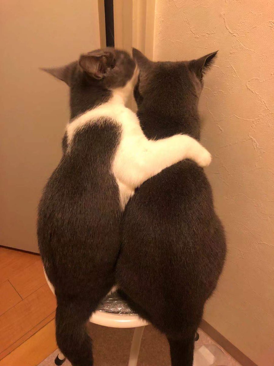 仲良いなあ～