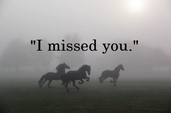 Дальше лошадка. Лошадь в тумане. Табун лошадей в тумане. Лошадь бежит. Лошади Эстетика.