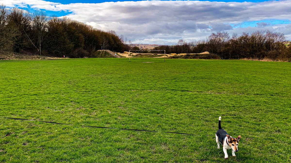 shanerounce's tweet photo. Ozzy is really enjoying getting used to his new locale and exploring Bole Hills! He's such a happy puppa! :D
#sheffield #southyorkshire #jackrussell #dog #doglife #bolehills #sheffieldissuper #syorksphoto #photography https://t.co/iLeAY0vw9h