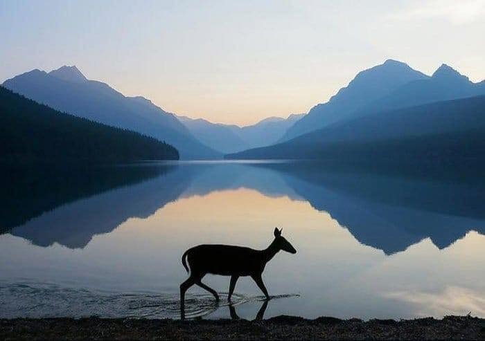 Photography by Dustin Le Fevre