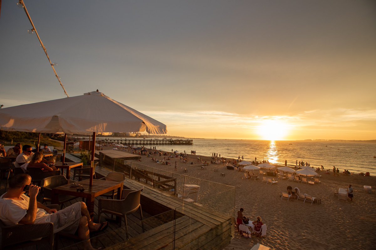 OVO Punta tweet media