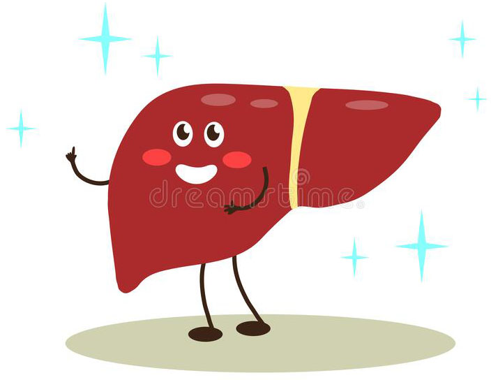 Had some great news today-- happy liver is a cancer-Free liver. I'm still in remission. #pancan #cancersurvivor