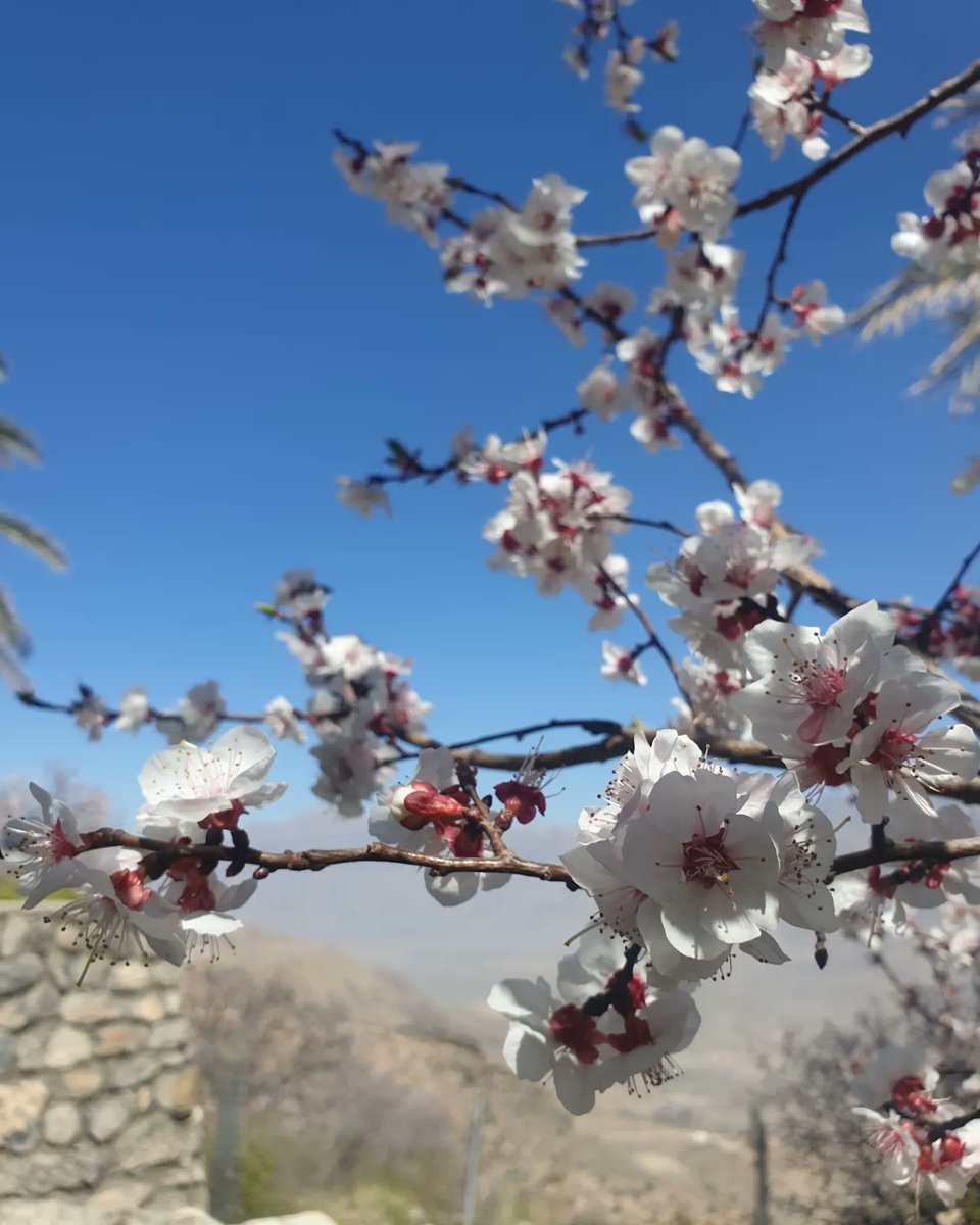 OmNext_Tourism's tweet photo. رحلتنا الى قرية #وكان
جنة #عمان

@mirzum_tourism https://t.co/1DuUDEClIo