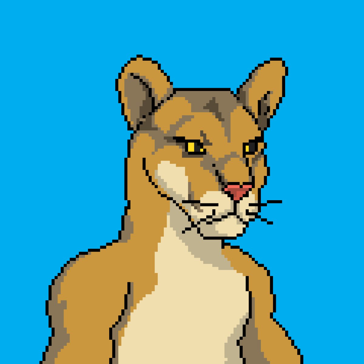 Any recommendations for other wildlife foundations we should partner with? 

Join our discord, link in bio!