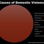 Photo by Battering Intervention Services Coalition of MI (@bisc_mi)