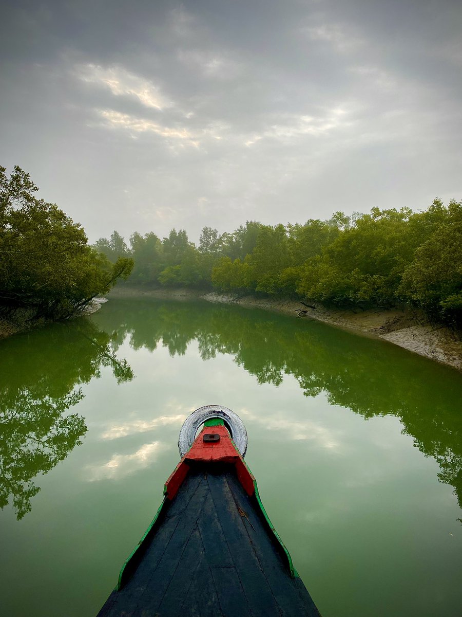 sandeepvnv's tweet photo. #Bangladesh this week with the Sunderbans  #mangroves in all its glory https://t.co/jProZG6sz9
