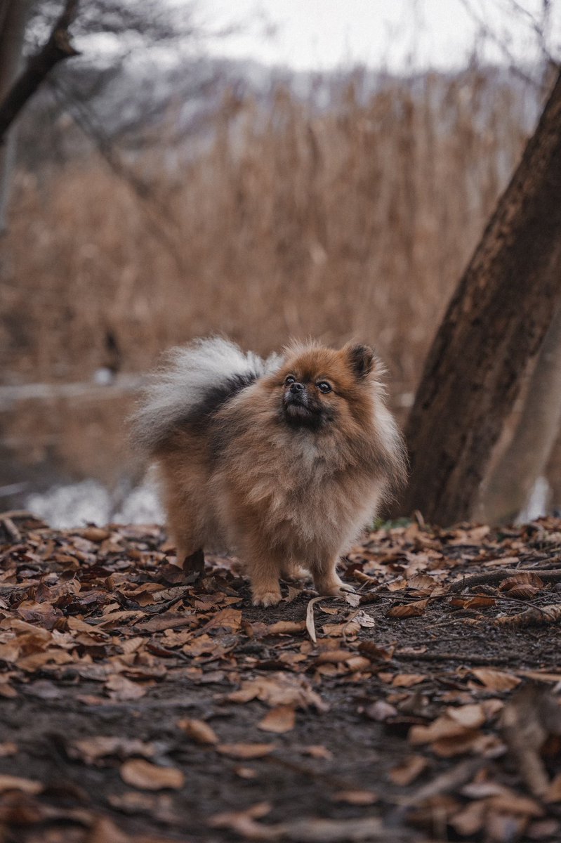BUBBLES ♀ tweet media