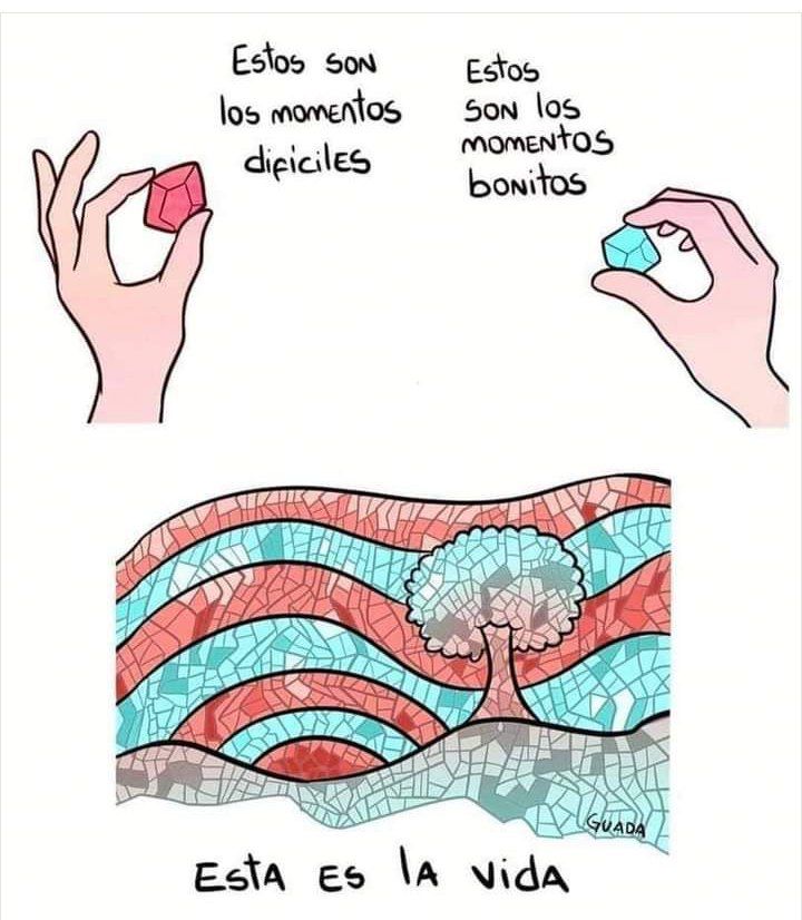 Coach_ozz's tweet photo. Así es la vida ✨ #sabadou #BuenosDias https://t.co/9eUentgJf9