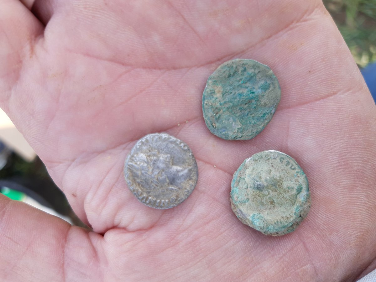 Getting called out to block lift an in situ Roman 2nd century coin hoard found by @DetectingDigsUK is a totally legimate excuse to not be doing phd work right? #hoards #ResponsibleDetecting @findsorguk