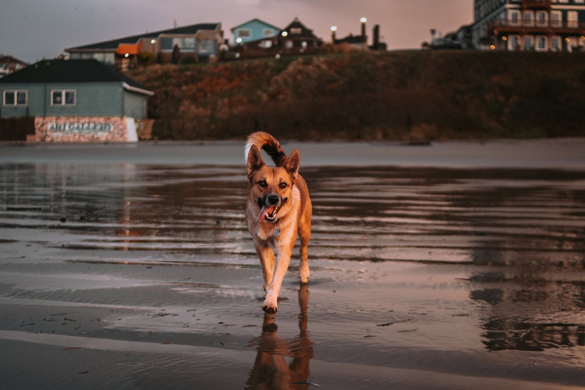 I have a handful of photos from Oregon I never posted to IG, so Twitter gets them 😌