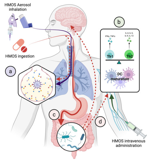 MeghanAzad's tweet photo. Could #humanmilk oligosaccharides help prevent or treat COVID? 
So much to learn from #breastmilk...  
https://t.co/lhMByQiMc7 https://t.co/m4M9GKOESn