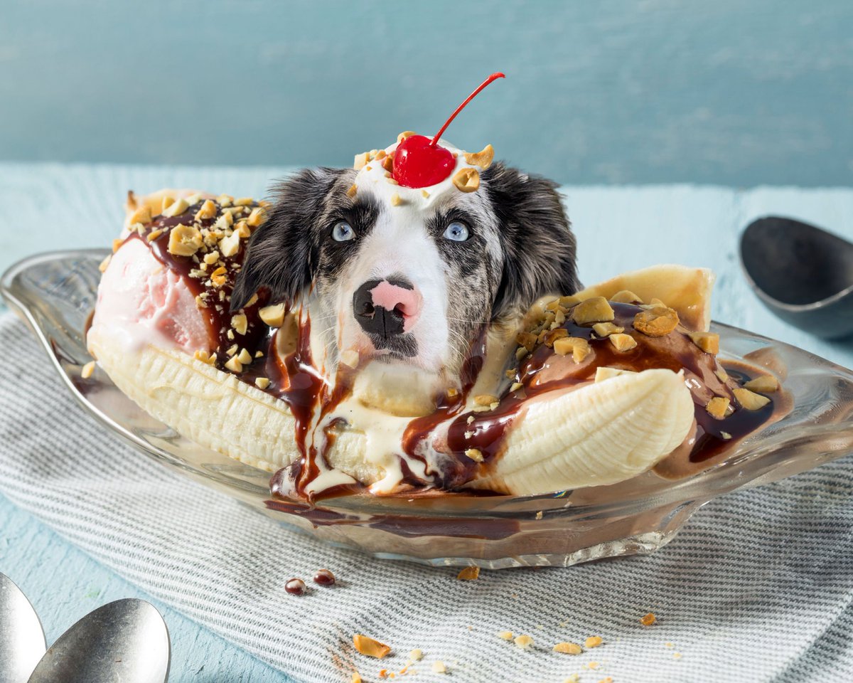 j a c k + k é d a ↟ tweet media