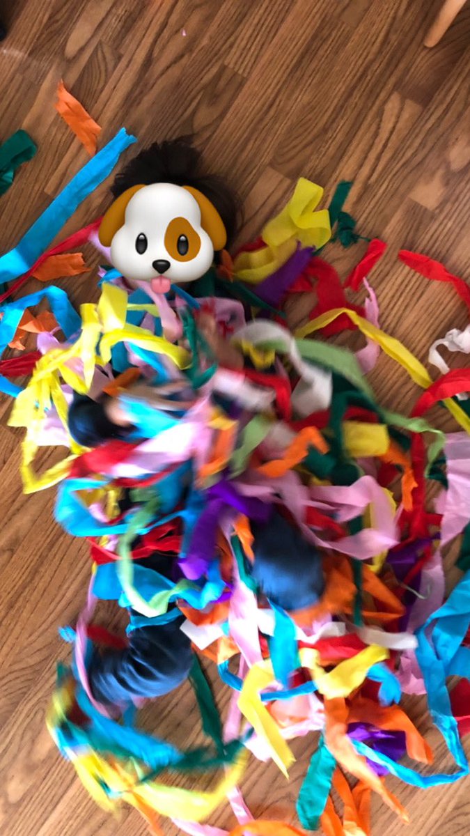 bodhi_nft's tweet photo. It’s my birthday today and I turn 4! Super excited to venture out into what will unfold artistically for me this year! 
#NFTs #NFT #NFTCollection #nftkids #kotbc #NFTartist #NFTartists #NFTCommmunity https://t.co/p8rgbjrvwP