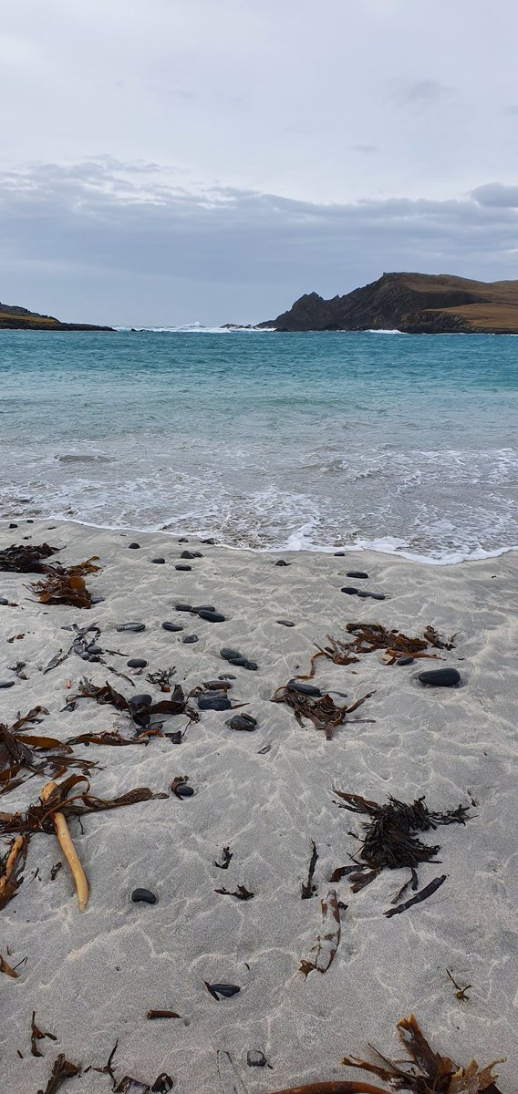 ginko17's tweet photo. #Minnbeach #Burra #Shetland #springiscalling https://t.co/Aopj3JxEg2