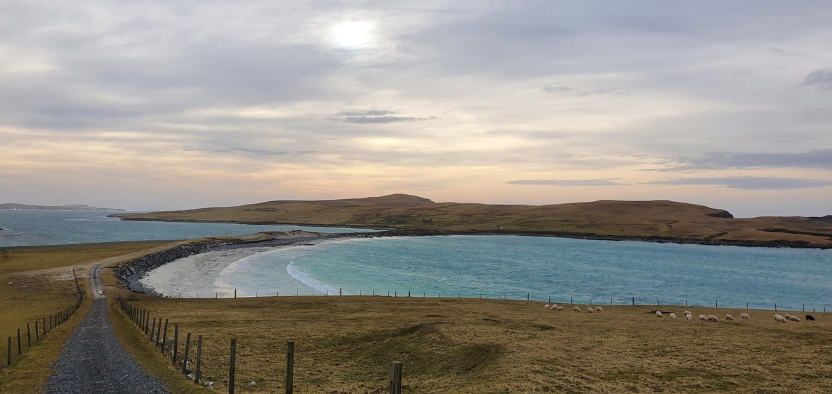 ginko17's tweet photo. #Minnbeach #Burra #Shetland #springiscalling https://t.co/Aopj3JxEg2