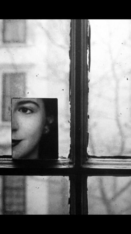 CasaLettori's tweet photo. Meglio essere una scatola di prima qualità

che un fiammifero scadente.

Haruki Murakami

#NotePoetiche a #CasaLettori 

Bill Bilzen - The Mirror

@GIULIA2691 @zanzibardy @zuccaro_sonia @ciroizzo3 @AlessandraCicc6 https://t.co/Jltwa8qDjW