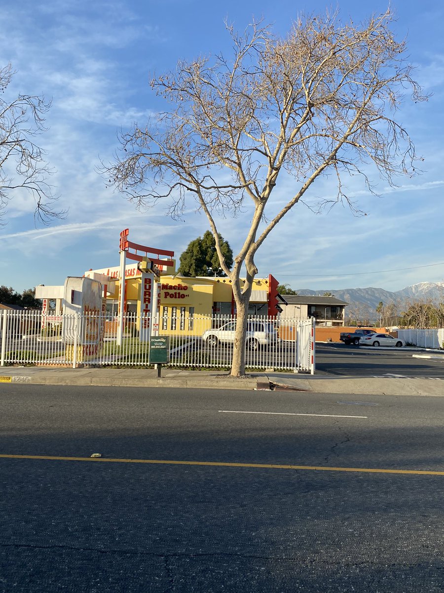 pepsiurmom's tweet photo. fellow Pomonians, does anyone actually eat here or is it a money laundering joint ?? https://t.co/OMb8gMkB1h