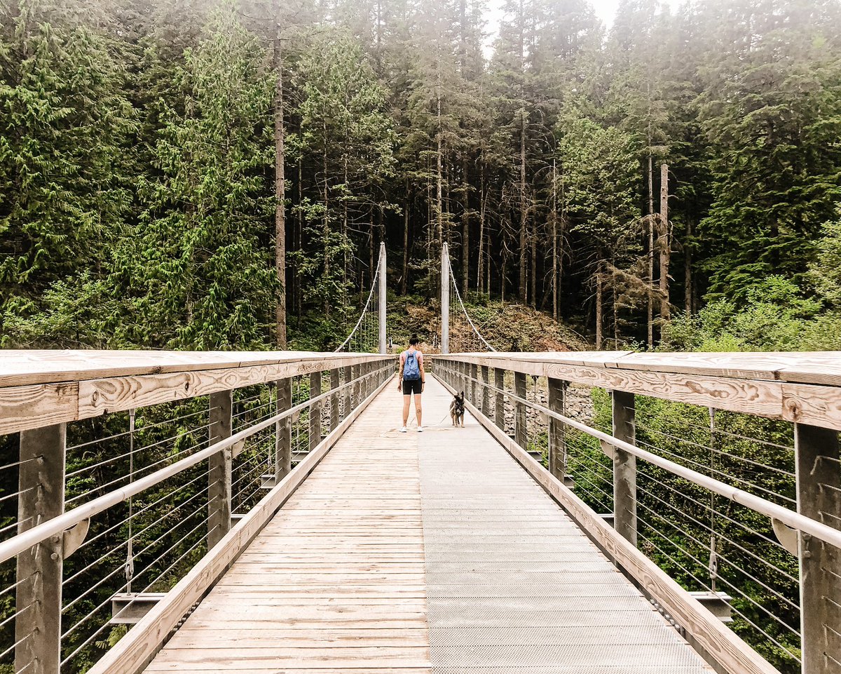 𝐥𝐢𝐟𝐞 𝐰𝐢𝐭𝐡 𝐥𝐮𝐜𝐲 ☀︎ tweet media