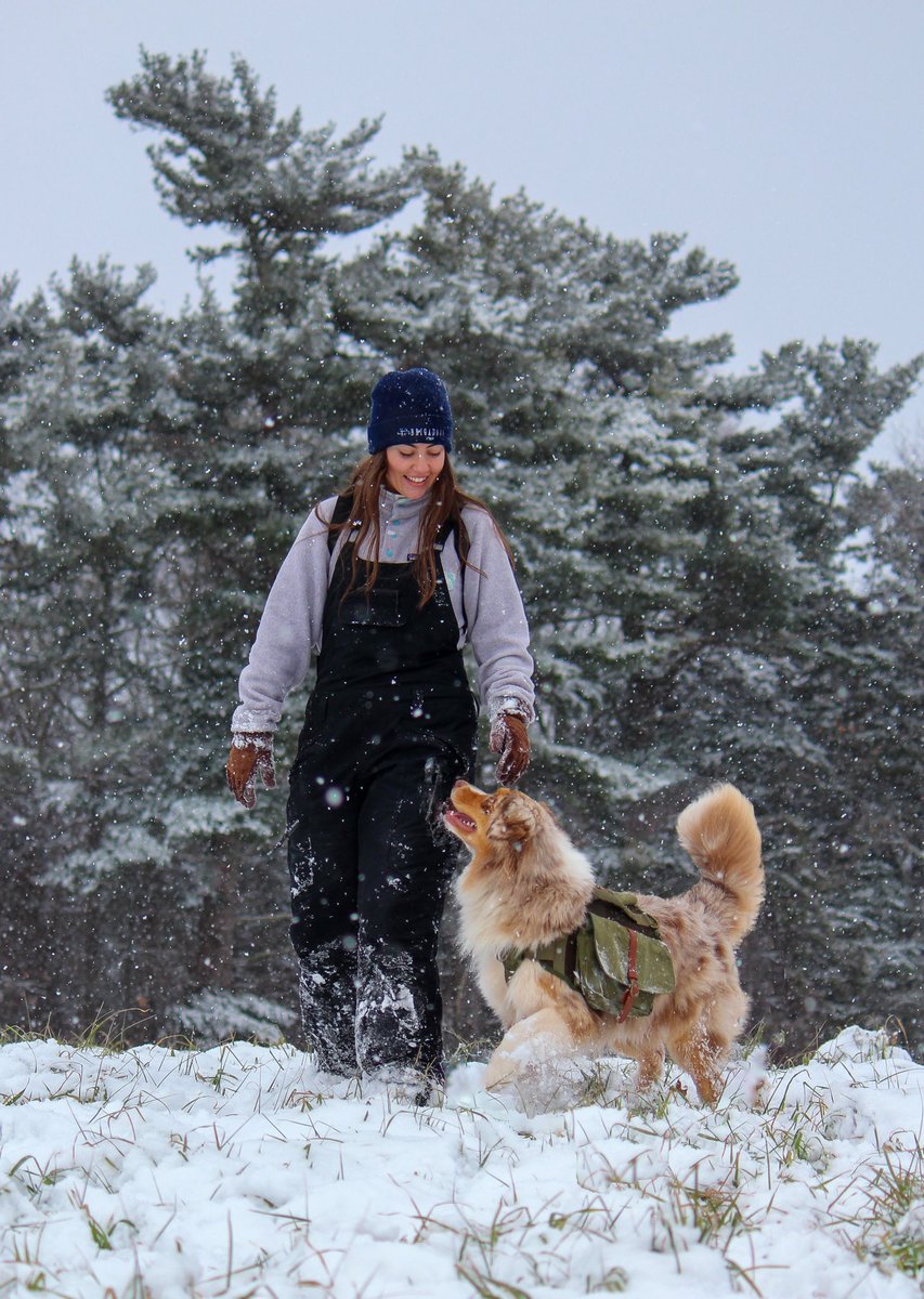 Phoenix & Michaela tweet media