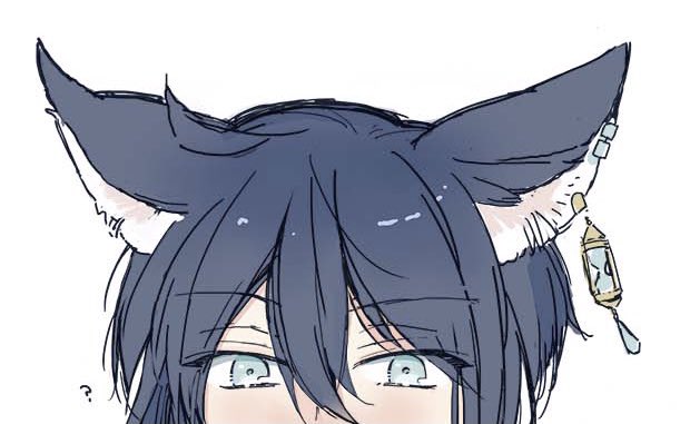 猫の日のも頑張ったけど今日無理でした