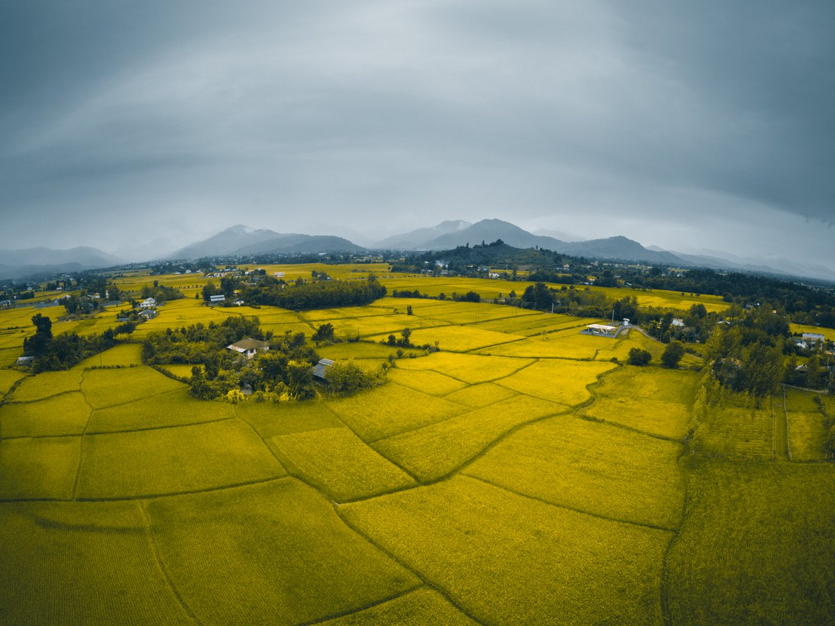 I just listed 📸 Eagle View 📸 on <a href="/Xarb_io/">Xarb</a>.
X5
3 #tezos 
 xarb.io/asset/575 
#xtz #tezos #tez #CleanNFT #NFTCommunity #NFTartist #NFTshill #nftcolllectors #nftart #hicetnuncNFT #hicetnuncart #xarb
