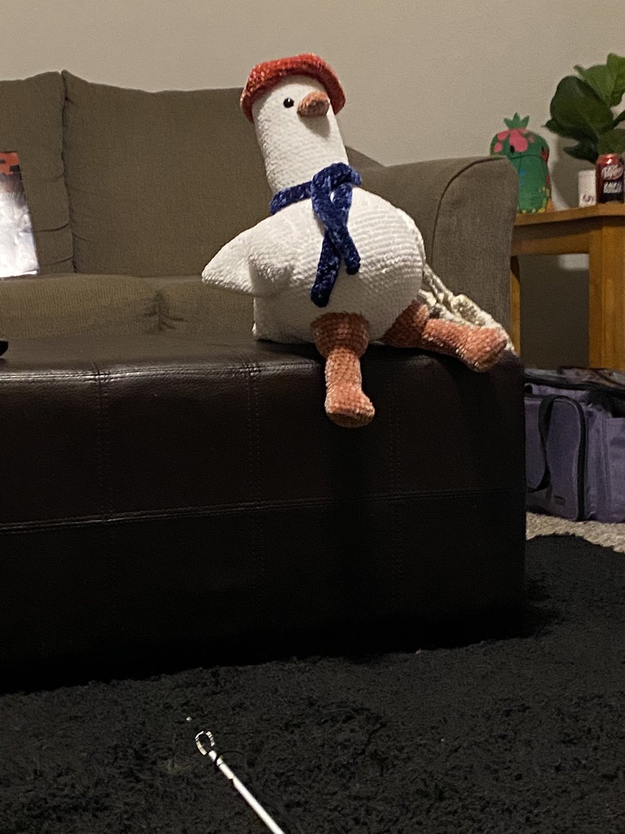 PhoebesPlushies's tweet photo. Came home to sir goose just vibing staring at me https://t.co/Zrqj5t4fOi