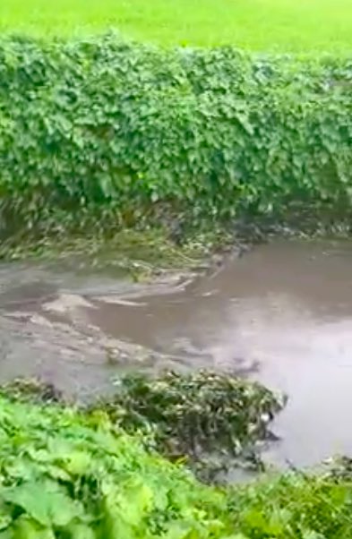 Protect Our Water Alliance tweet media