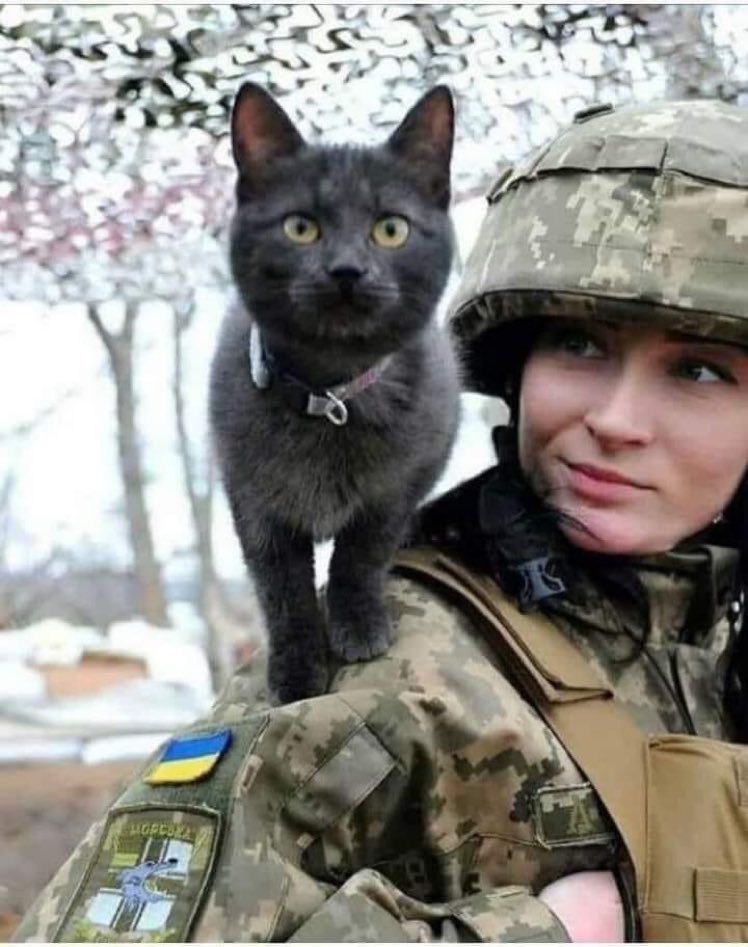SanasCapital's tweet image. A Ukrainian soldier with her kitty…….I pray peace and freedom comes to #Ukraine soon.