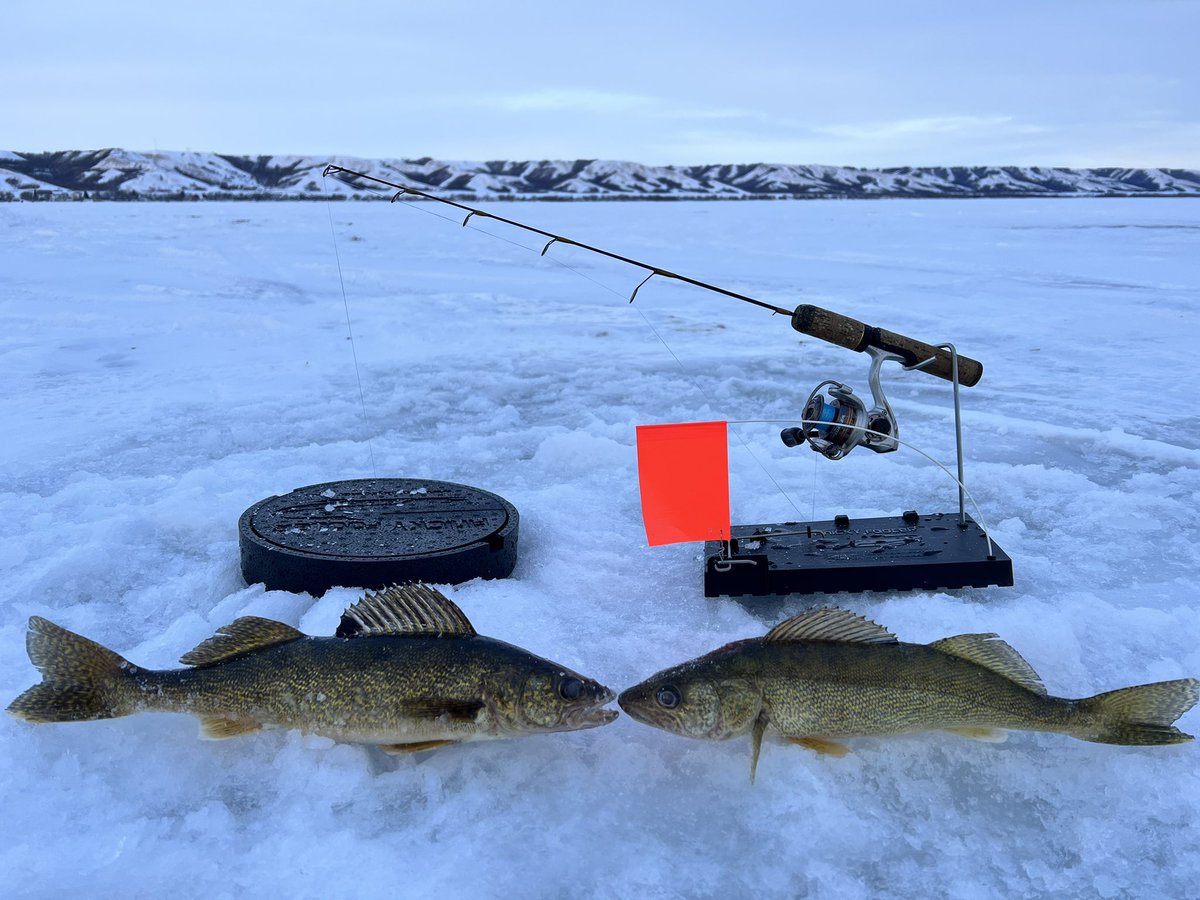 Matt Yanick tweet media