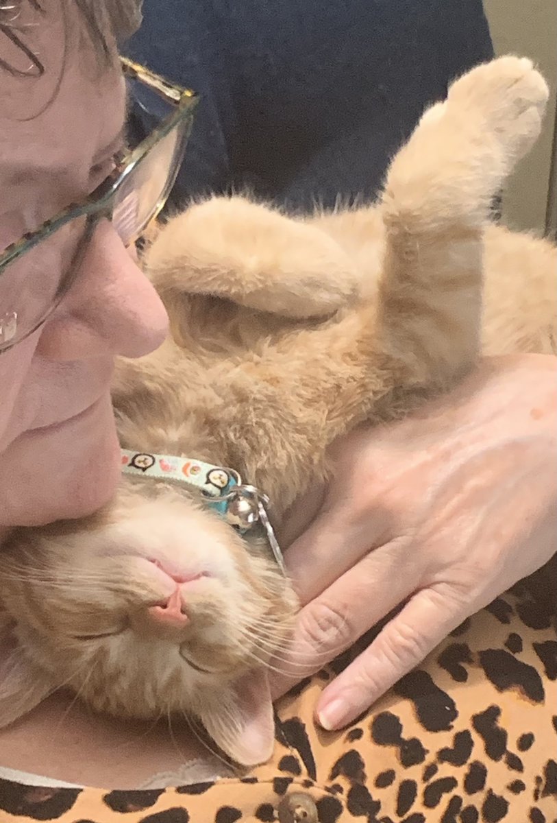 🍒TrixieTweets🍒 tweet media