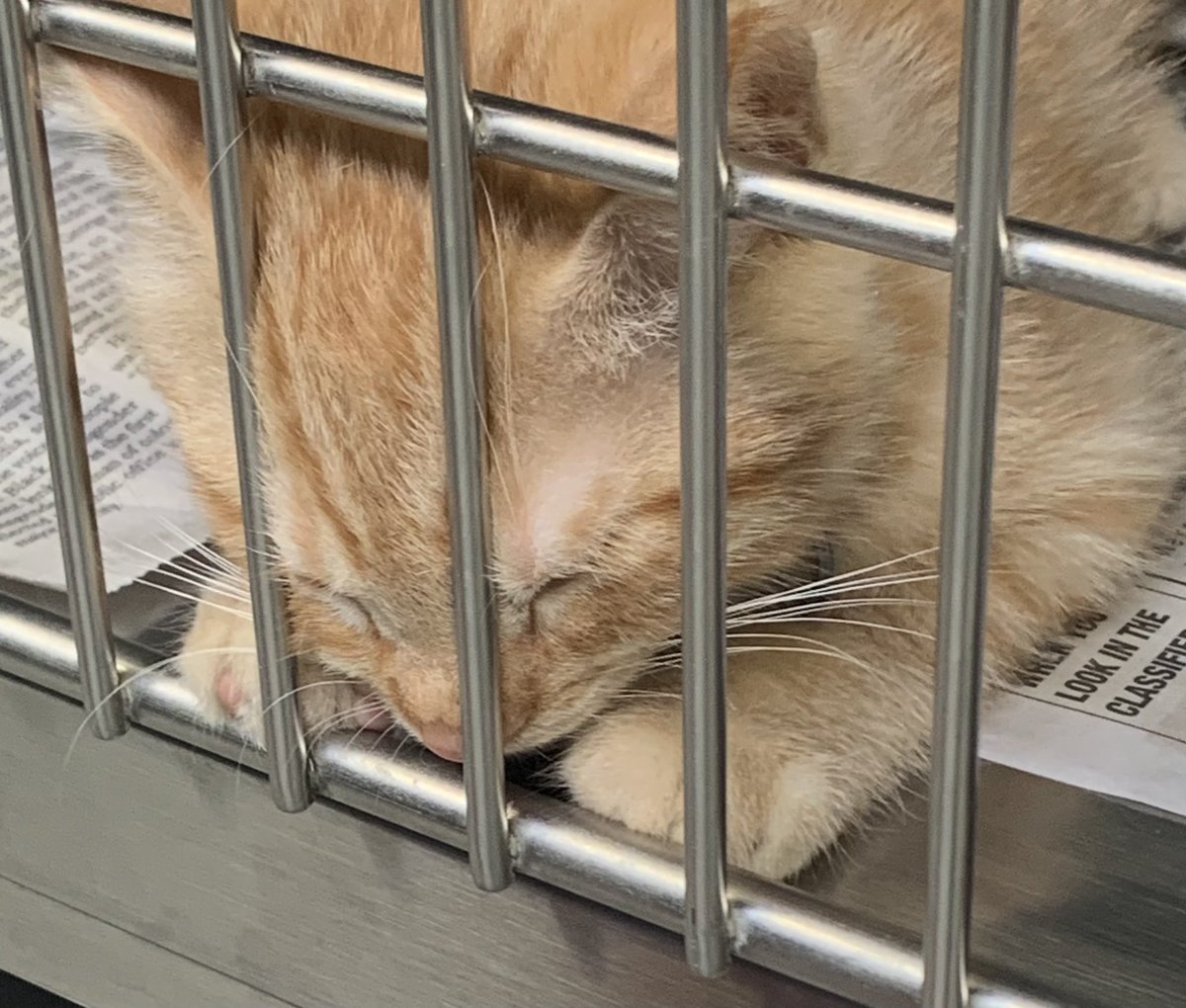 🍒TrixieTweets🍒 tweet media