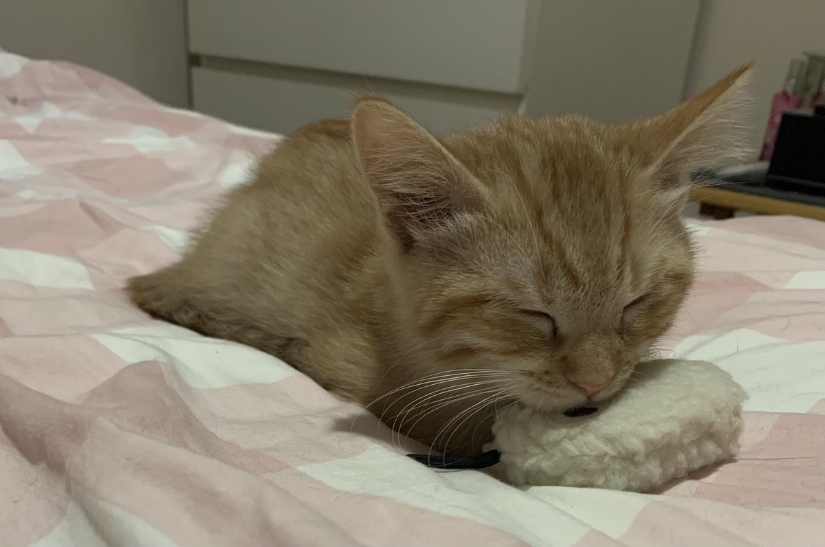 🍒TrixieTweets🍒 tweet media